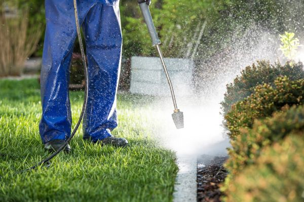 Curb Cleaning in Olathe