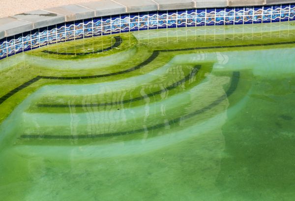 Pool Deck Algae Removal in Olathe