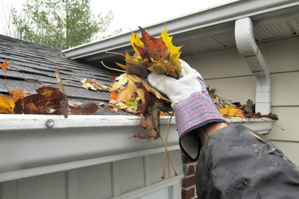 Eaves Cleaning in Olathe