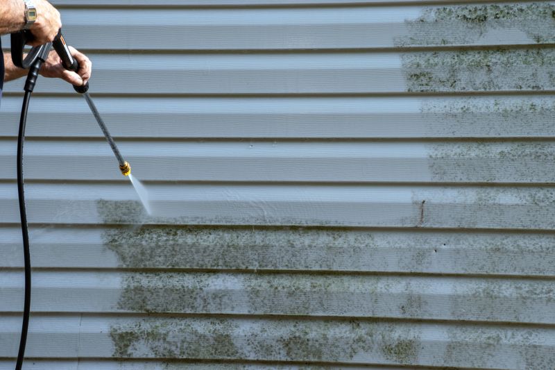 Vinyl Siding Cleaning